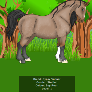 Lots of different breeds of horse to choose from.